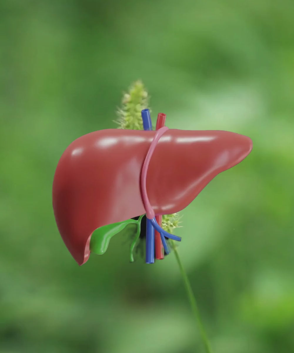 Liver Care Booti Juice